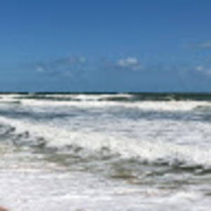 Meet your Posher, Timothy